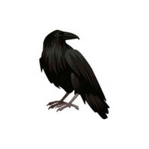 Eric the Raven